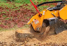 Best Grass Overseeding  in West End, NY